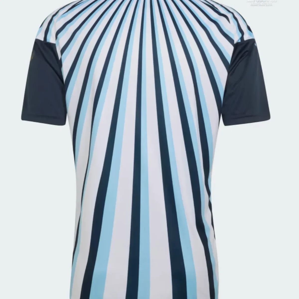 Argentina Pre-Match Remera World Cup 2026 Jersey